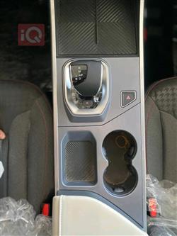 جیتۆر داشينگ